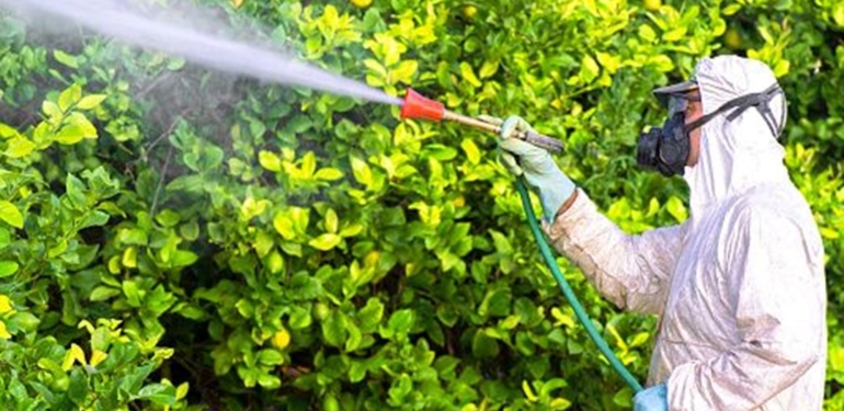 Pestisit nedir? Pestisit türleri, etkileri ve zararları nelerdir?